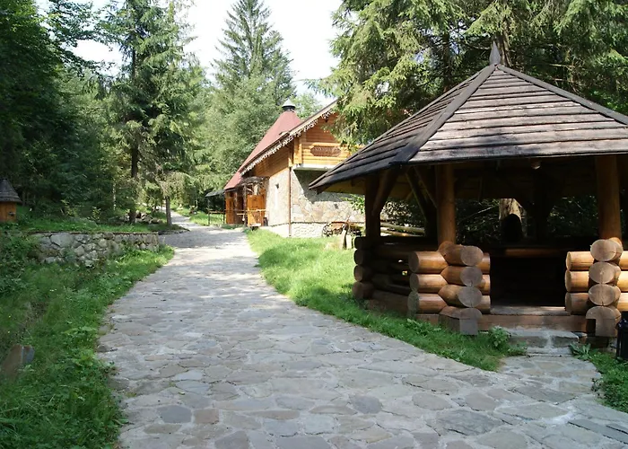 Dykyi MedГотель